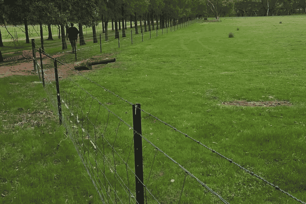 Wire netting and barbed wire fence running alongside a green rural paddock lined with trees-